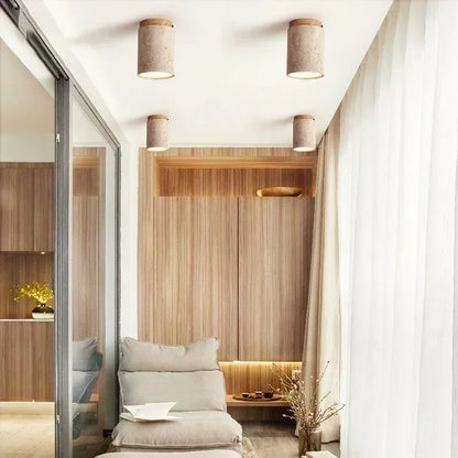 מנורת תקרה אדריכלית