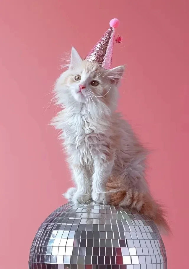 ציור קנבס בעיצוב חתול